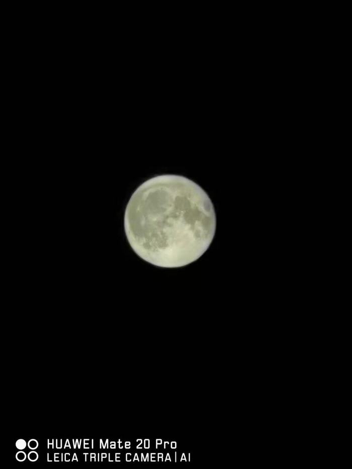 ^﹝ͺӂffʮ﹝āv\